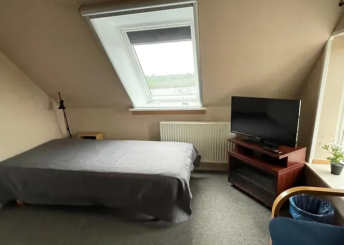 Bogebjerggard